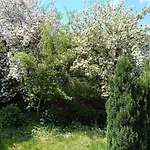 بيت للعطل Eifel Garden For Groups Karl