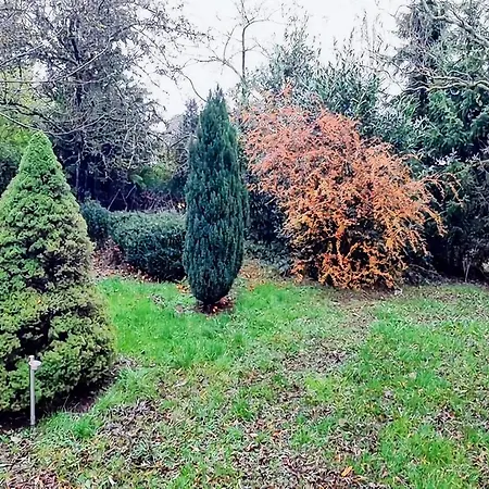 Eifel Garden For Groups