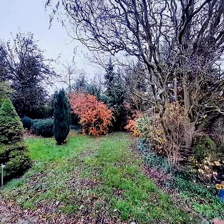 Eifel Garden For Groups Tatil Evi Karl