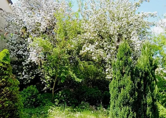 Eifel Garden For Groups Dom wakacyjny