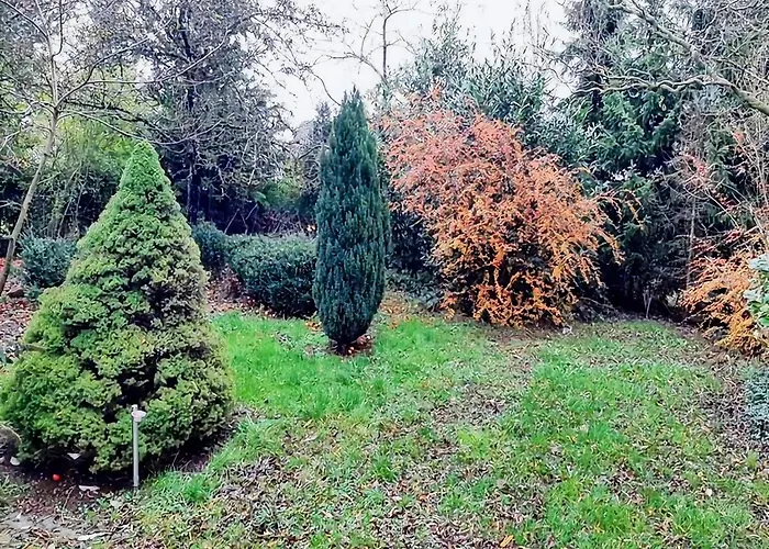 Eifel Garden For Groups