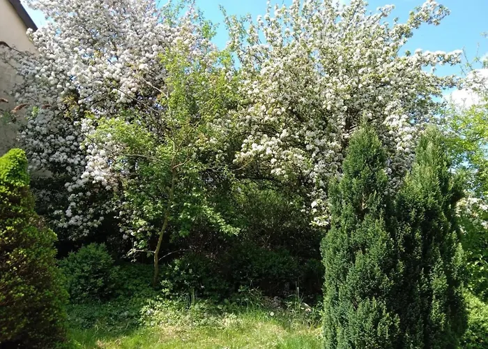 Dom wakacyjny Eifel Garden For Groups Karl